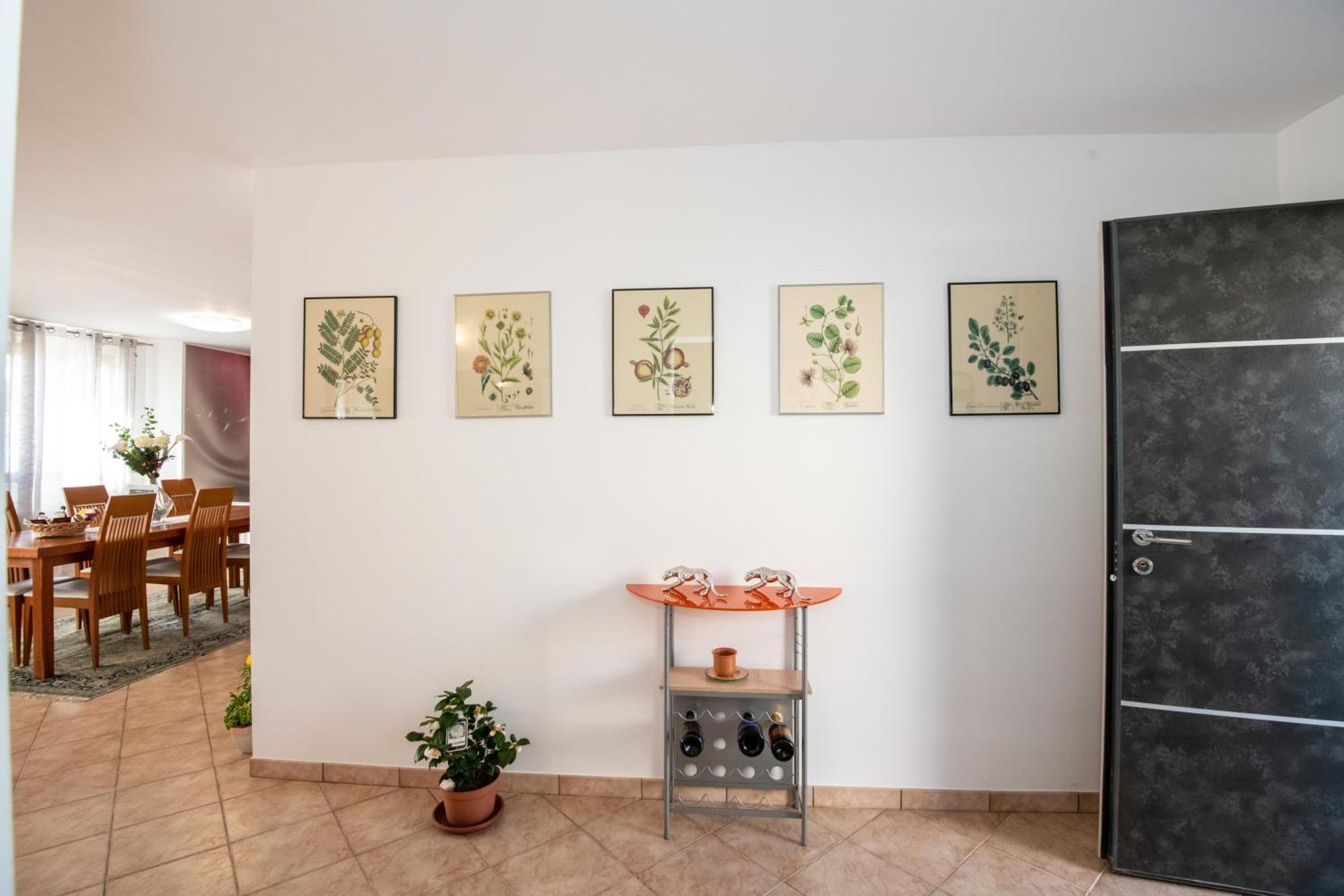 Villa Mastro Oleario 5 Dal Mare 30 Dai Monti Torrevecchia Teatina Exteriér fotografie